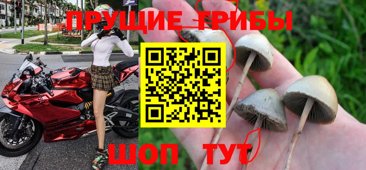 Галлюциногенные грибы прущие грибы Нарткала