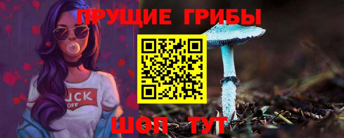 Псилоцибиновые грибы GOLDEN TEACHER  где найти   Нарткала  Вход с VPN 
